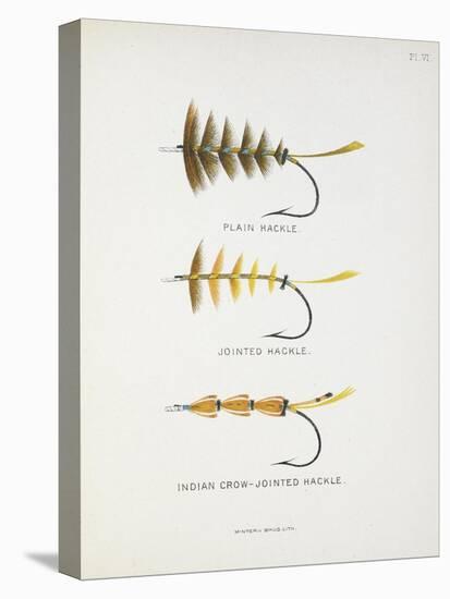 Fishing Tackle: Plain Hackle, Jointed Hackle, Indian Crow-Jointed Hackle-Fraser Sandeman-Stretched Canvas