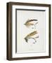 Fishing Tackle-Fraser Sandeman-Framed Giclee Print