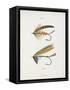 Fishing Tackle-Fraser Sandeman-Framed Stretched Canvas