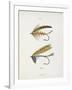 Fishing Tackle-Fraser Sandeman-Framed Giclee Print