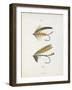 Fishing Tackle-Fraser Sandeman-Framed Giclee Print