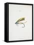 Fishing Tackle-Fraser Sandeman-Framed Stretched Canvas