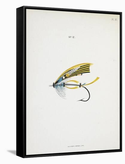 Fishing Tackle-Fraser Sandeman-Framed Stretched Canvas