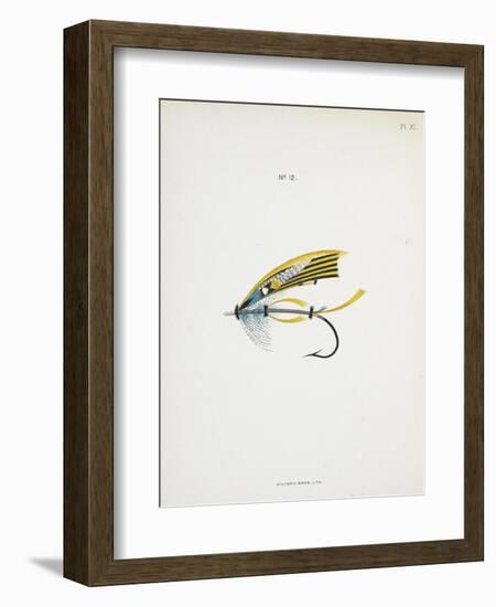 Fishing Tackle-Fraser Sandeman-Framed Giclee Print