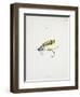 Fishing Tackle-Fraser Sandeman-Framed Giclee Print