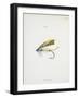 Fishing Tackle-Fraser Sandeman-Framed Giclee Print