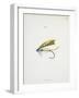 Fishing Tackle-Fraser Sandeman-Framed Giclee Print