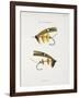 Fishing Tackle-Fraser Sandeman-Framed Giclee Print