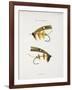 Fishing Tackle-Fraser Sandeman-Framed Giclee Print