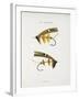 Fishing Tackle-Fraser Sandeman-Framed Giclee Print