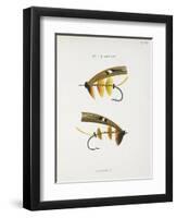 Fishing Tackle-Fraser Sandeman-Framed Giclee Print