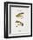 Fishing Tackle-Fraser Sandeman-Framed Giclee Print