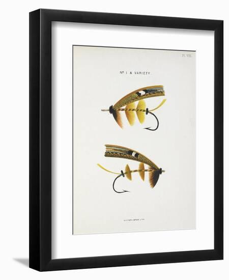 Fishing Tackle-Fraser Sandeman-Framed Giclee Print