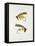 Fishing Tackle-Fraser Sandeman-Framed Stretched Canvas