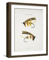 Fishing Tackle-Fraser Sandeman-Framed Giclee Print