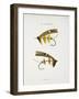 Fishing Tackle-Fraser Sandeman-Framed Giclee Print