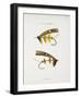 Fishing Tackle-Fraser Sandeman-Framed Giclee Print