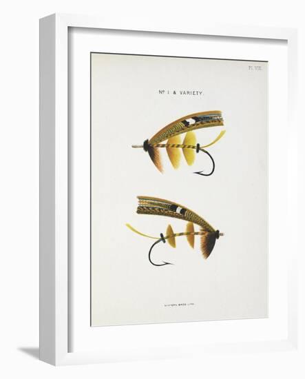 Fishing Tackle-Fraser Sandeman-Framed Giclee Print