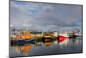 Fishing Vessel in Harbor at Hofn, Iceland-Chuck Haney-Mounted Photographic Print