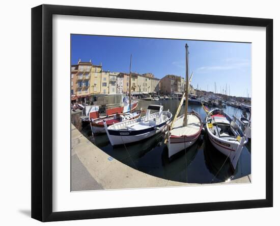 Fishing Vessels and Harbour, St. Tropez, Var, Provence, Cote D'Azur, France, Mediterranean, Europe-Peter Barritt-Framed Photographic Print