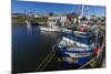 Fishing Vessels Inside the Harbor at Bonavista, Newfoundland, Canada, North America-Michael Nolan-Mounted Photographic Print