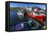 Fishing Vessels Inside the Harbor at Bonavista, Newfoundland, Canada, North America-Michael Nolan-Framed Stretched Canvas