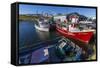 Fishing Vessels Inside the Harbor at Bonavista, Newfoundland, Canada, North America-Michael Nolan-Framed Stretched Canvas