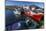 Fishing Vessels Inside the Harbor at Bonavista, Newfoundland, Canada, North America-Michael Nolan-Mounted Photographic Print