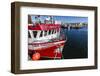 Fishing Vessels Inside the Harbor at Bonavista, Newfoundland, Canada, North America-Michael Nolan-Framed Photographic Print