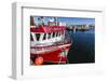 Fishing Vessels Inside the Harbor at Bonavista, Newfoundland, Canada, North America-Michael Nolan-Framed Photographic Print