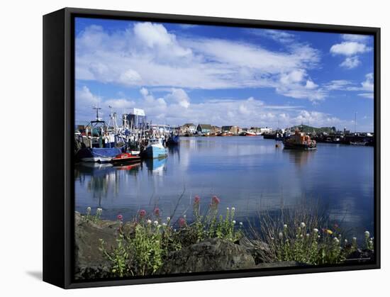 Fishing Vessels Moored Along the West Pier, Howth Harbour and Lifeboat, Howth, Eire, Ireland-Pearl Bucknall-Framed Stretched Canvas