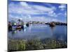 Fishing Vessels Moored Along the West Pier, Howth Harbour and Lifeboat, Howth, Eire, Ireland-Pearl Bucknall-Mounted Photographic Print