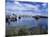 Fishing Vessels Moored Along the West Pier, Howth Harbour and Lifeboat, Howth, Eire, Ireland-Pearl Bucknall-Mounted Photographic Print