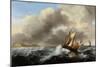 Fishing Vessels Offshore in a Heavy Sea, 1864-Ludolf Backhuysen-Mounted Giclee Print