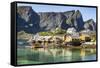 Fishing village on Reinefjorden, Saknesoya, Lofoten Islands-Tony Waltham-Framed Stretched Canvas