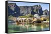 Fishing village on Reinefjorden, Saknesoya, Lofoten Islands-Tony Waltham-Framed Stretched Canvas