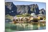 Fishing village on Reinefjorden, Saknesoya, Lofoten Islands-Tony Waltham-Mounted Photographic Print