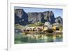 Fishing village on Reinefjorden, Saknesoya, Lofoten Islands-Tony Waltham-Framed Photographic Print