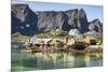 Fishing village on Reinefjorden, Saknesoya, Lofoten Islands-Tony Waltham-Mounted Photographic Print