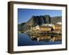 Fishing Village on Sakrisoya Island, Moskenesoya, Lofoten Islands, Nordland, Norway-Gavin Hellier-Framed Photographic Print