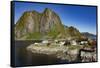 Fishing village on strandflat of Hamnoy, Reinefjorden Islands, Lofoten-Tony Waltham-Framed Stretched Canvas