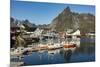 Fishing village on strandflat of Hamnoy, Reinefjorden Islands, Lofoten-Tony Waltham-Mounted Photographic Print