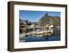 Fishing village on strandflat of Hamnoy, Reinefjorden Islands, Lofoten-Tony Waltham-Framed Photographic Print