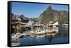 Fishing village on strandflat of Hamnoy, Reinefjorden Islands, Lofoten-Tony Waltham-Framed Stretched Canvas