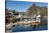 Fishing village on strandflat of Hamnoy, Reinefjorden Islands, Lofoten-Tony Waltham-Stretched Canvas