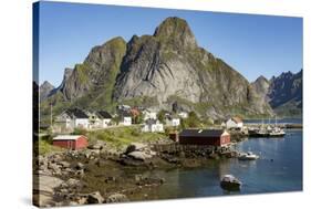 Fishing vllages on Reinefjorden, Andoya, Lofoten-Tony Waltham-Stretched Canvas