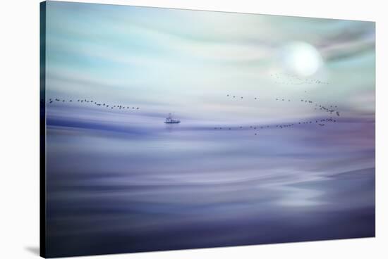 Fishing-Ursula Abresch-Stretched Canvas