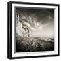 Fishlandcliff-Mario Benz-Framed Photographic Print