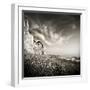 Fishlandcliff-Mario Benz-Framed Photographic Print