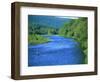 Fishs Eddy Stream, Man Fly Fishing-Barry Winiker-Framed Photographic Print